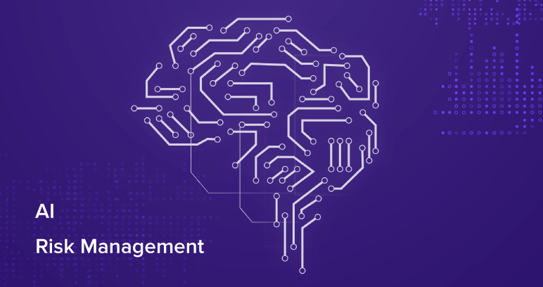 AI Risk Management: An Approach to Manage Emergent AI Risks