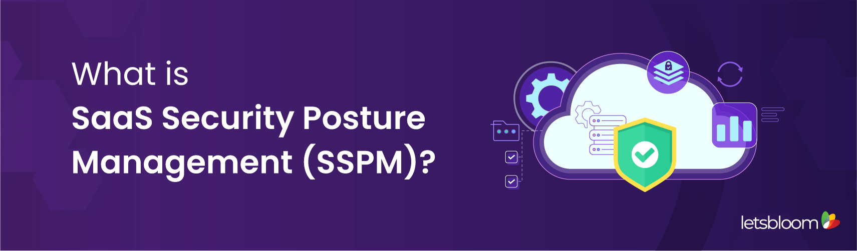 Why Do Business Need SSPM